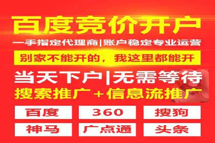 探索SEM推广代运营的奥秘：成功背后的故事